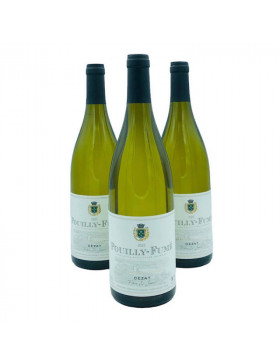 DOMAINE DEZAT 2022, POUILLY...