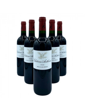 CHATEAU ANTHONIC 2022, MOULIS